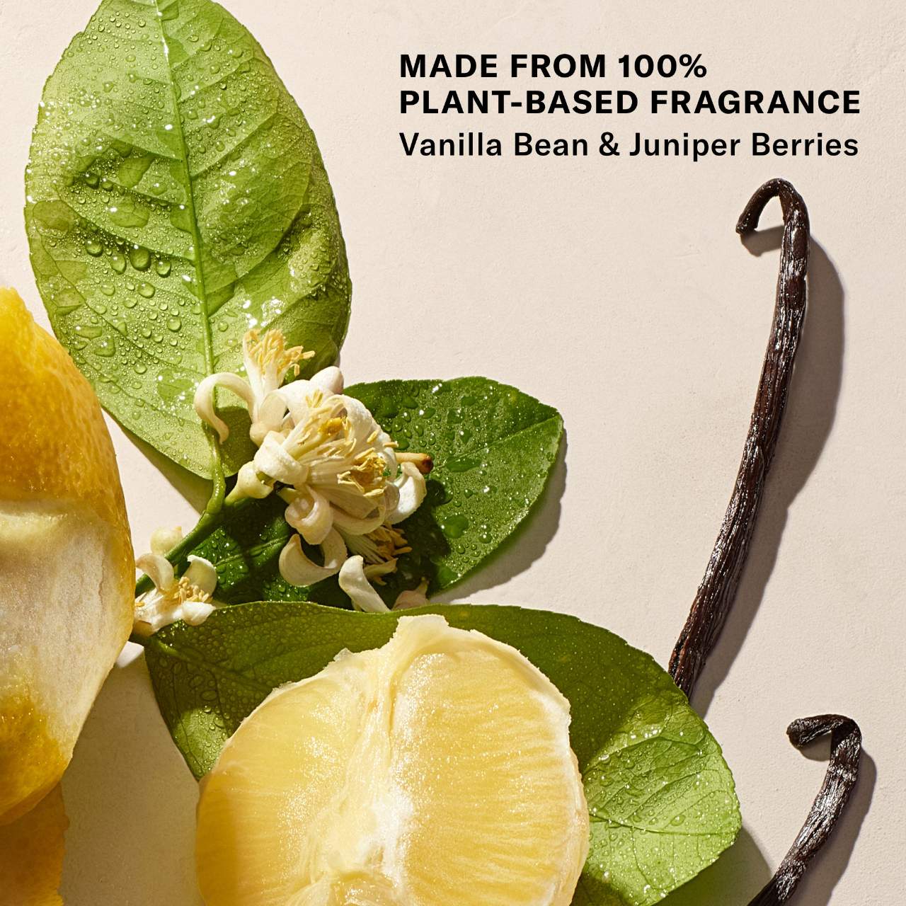 Josie Maran Whipped Argan Oil Firming Body Butter
