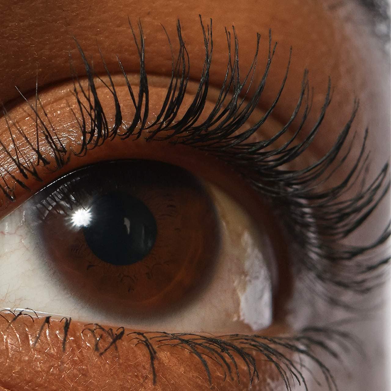 Máscara de pestañas REFY Lash Sculpt para alargar y levantar pestañas